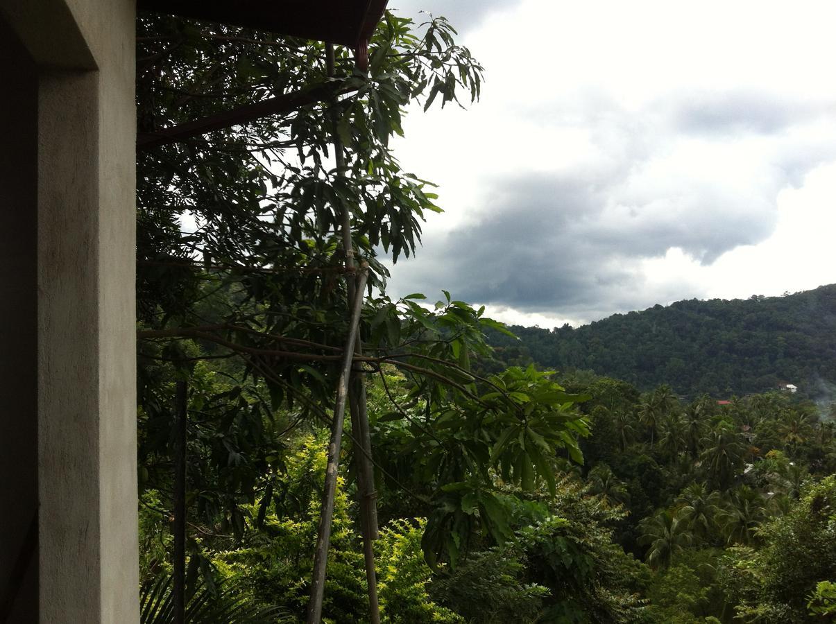 Witherspoon Lodge แคนดี้ ภายนอก รูปภาพ