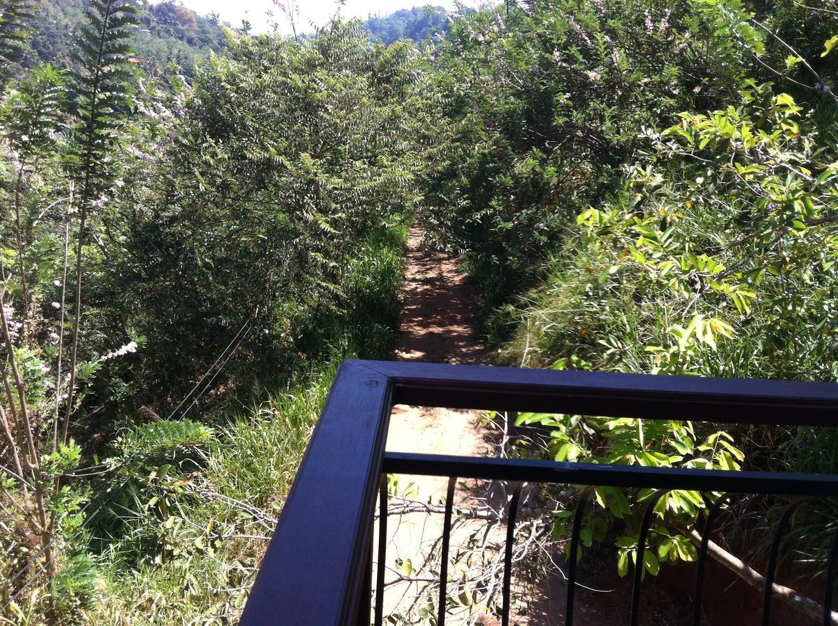 Witherspoon Lodge แคนดี้ ภายนอก รูปภาพ